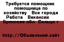 Требуется помощник, помощница по хозяйству - Все города Работа » Вакансии   . Брянская обл.,Сельцо г.